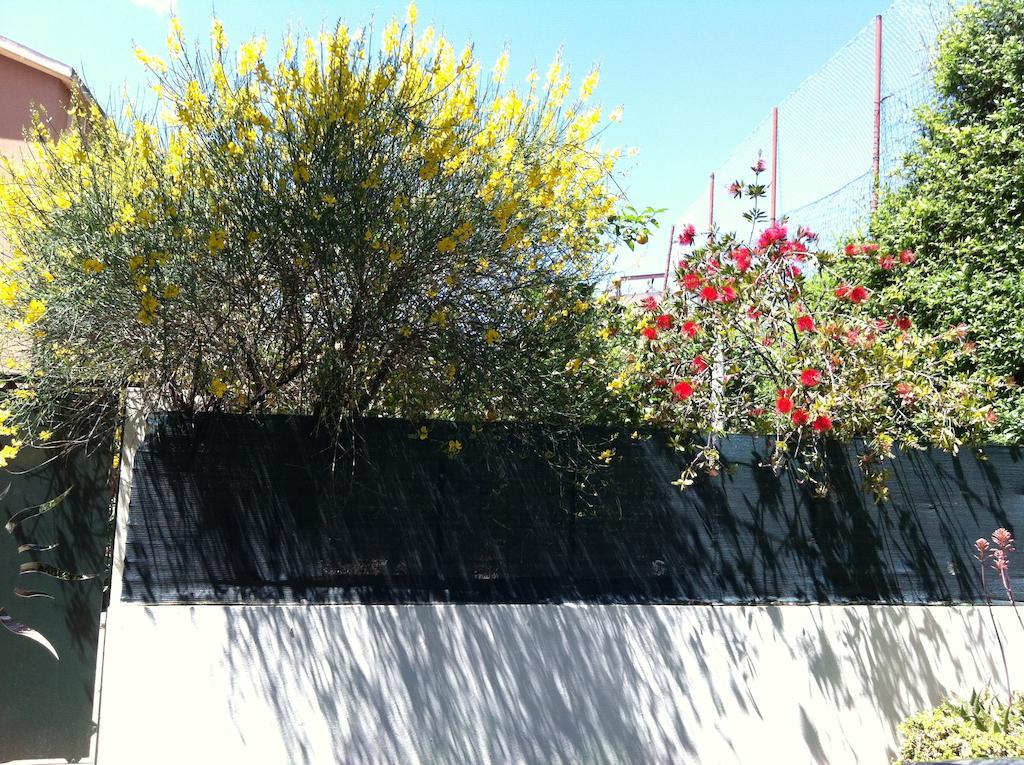 Bramasole Bed & Breakfast Quartu Sant'Elena Exterior photo